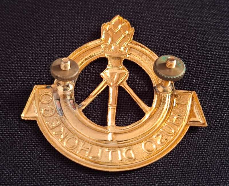 Bophuthatswana Defence Force Depot Gilding Metal And Enamel Cap Badge         E96