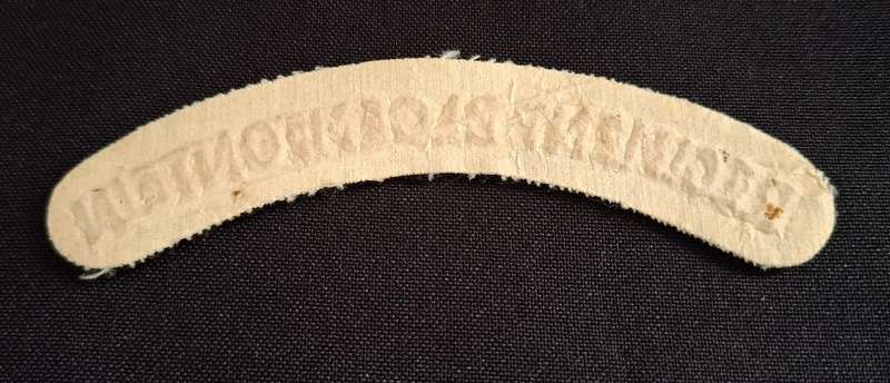 SADF REGIMENT BLOEMFONTEIN   Shoulder Title                        E99
