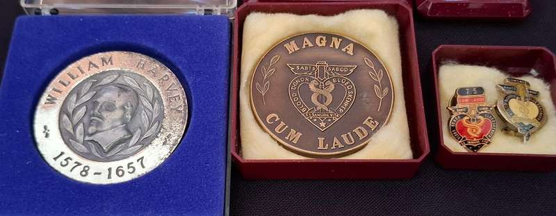 BLOOD TRANSFUSION SERVICE MEDALS AND BADGES ( M.H. ROBINSON ) -- One Bid For The Lot             W11