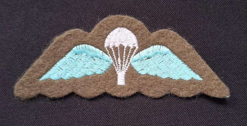 British Paratrooper Wings                    W1