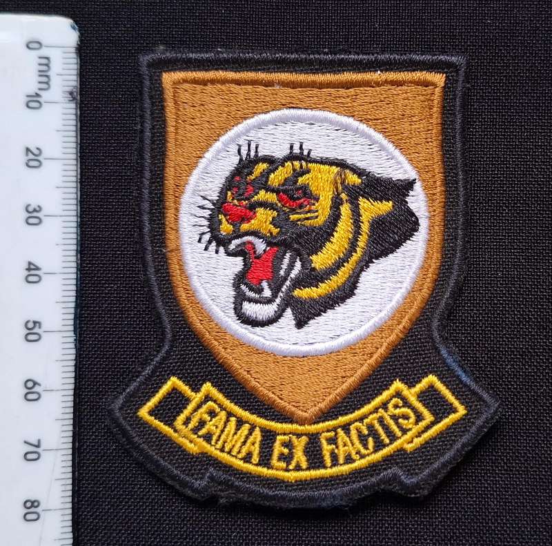 19 SQUADRON CHOPPER PILOT EMBROIDRERED BADGE          E108