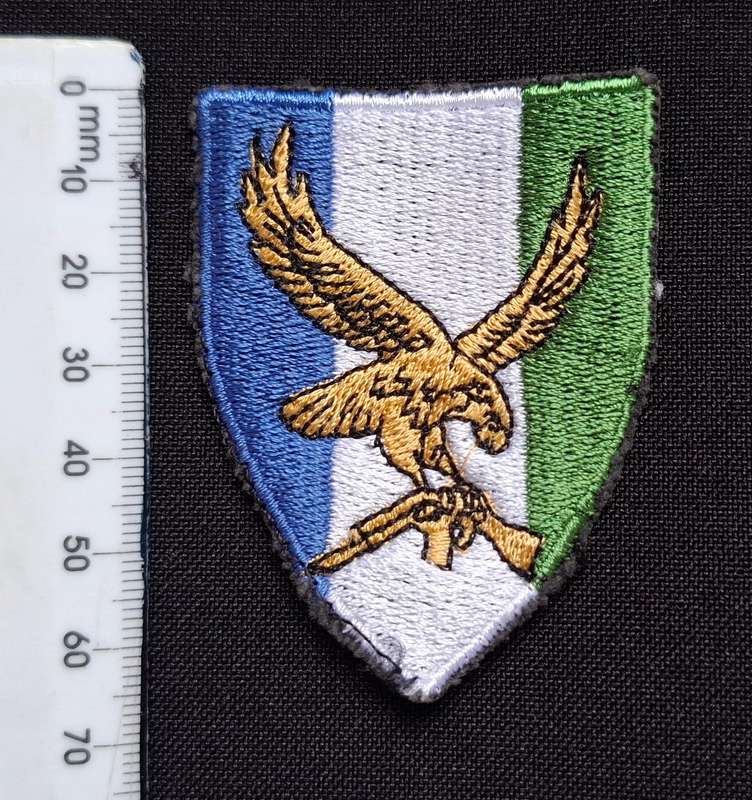 SWA 101 Battalion Reconnaissance Company Cloth Badge                   E110