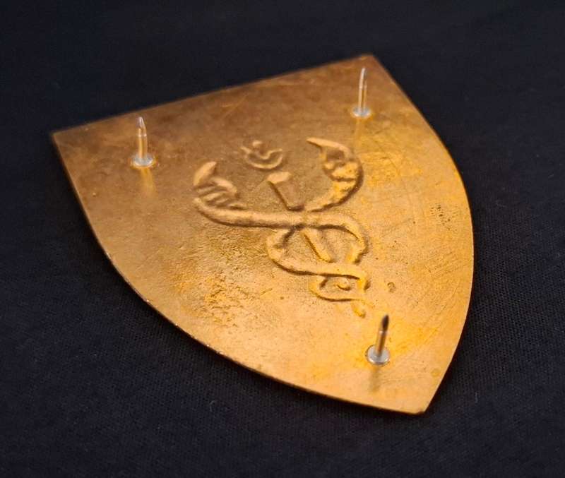 SADF 3 Military Hospital Shoulder Flash   --- RARE ---                     E117