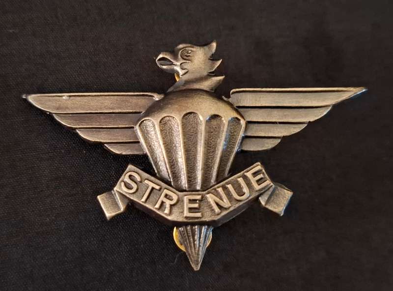SADF 3 Parachute Battalion Beret Badge     W1