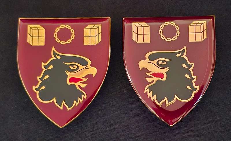 SADF  101 AIR SUPPLY UNIT SHOULDER FLASH PAIR                         N3