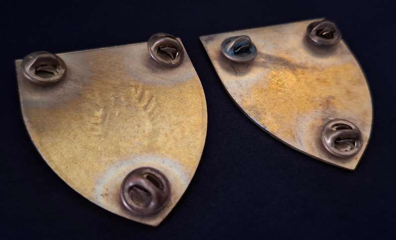 SADF 2ND BATTALION NORTHERN TRANSVAAL REGIMENT SHOULDER FLASH PAIR                 N2