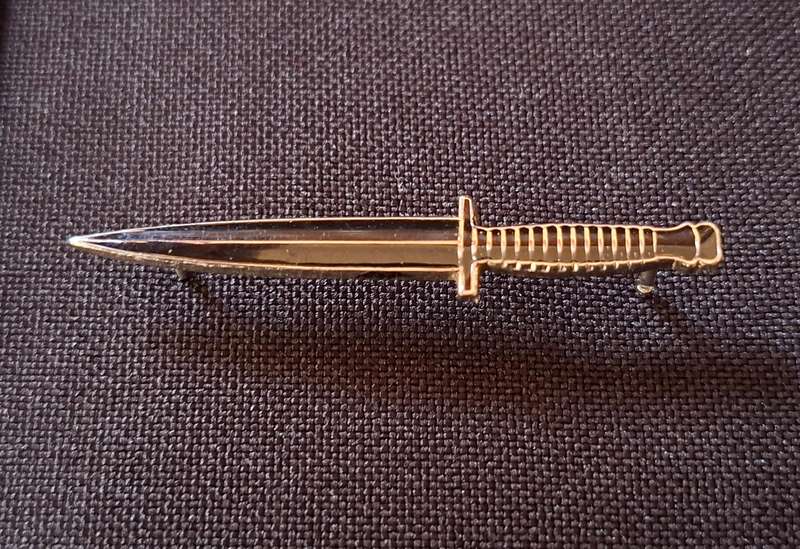 Special Force Dagger Pin Badge                   E90