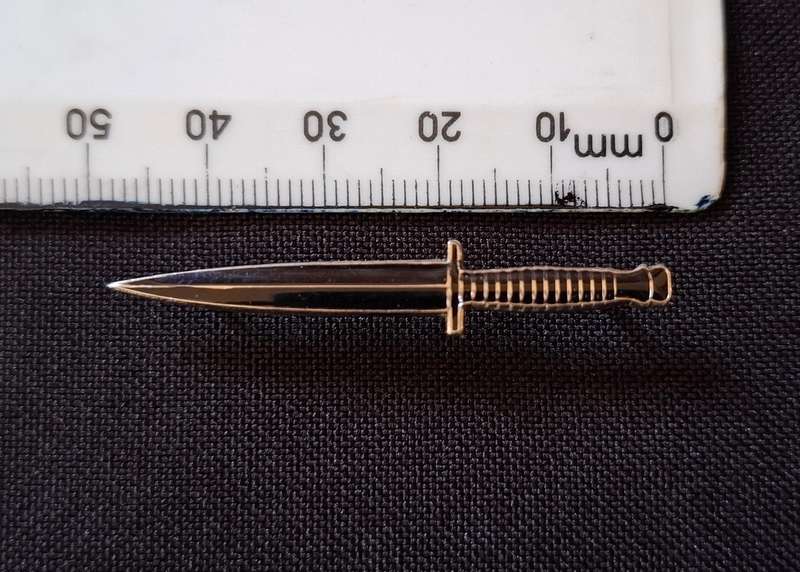 Special Force Dagger Pin Badge                   E90