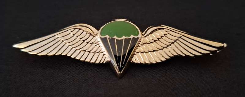 Border War- 1970s SADF Parachute Battalion 'Night Test Jump'  Wing         E91
