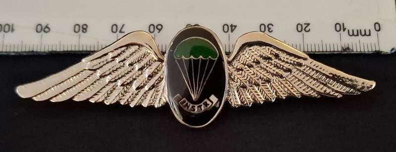 Border War- 1970s SADF  INSTRUCTOR Parachute Batt. 'Night Test Jump' Wing              E92