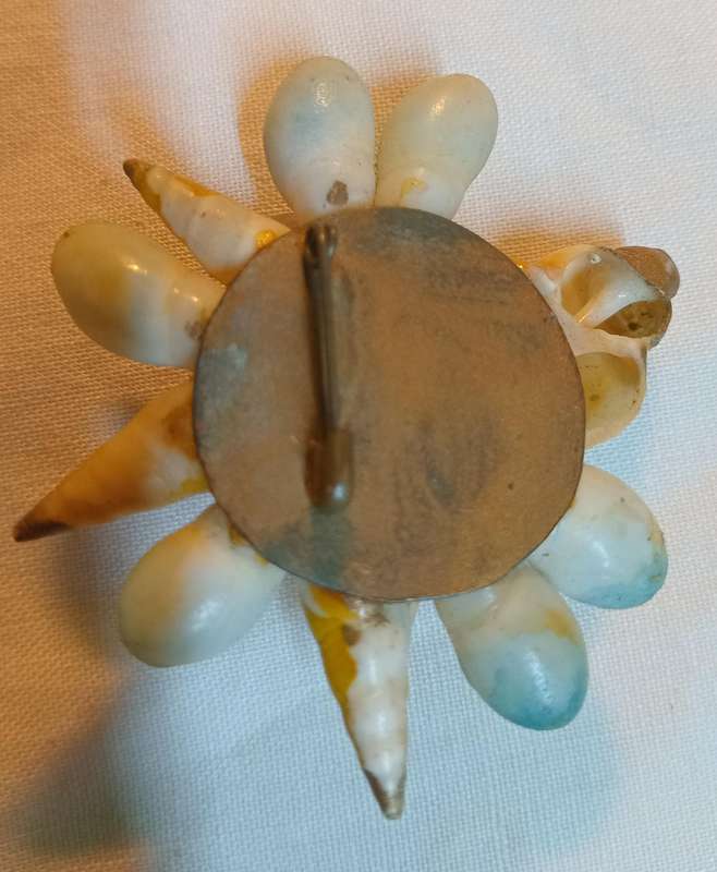 Shell brooch