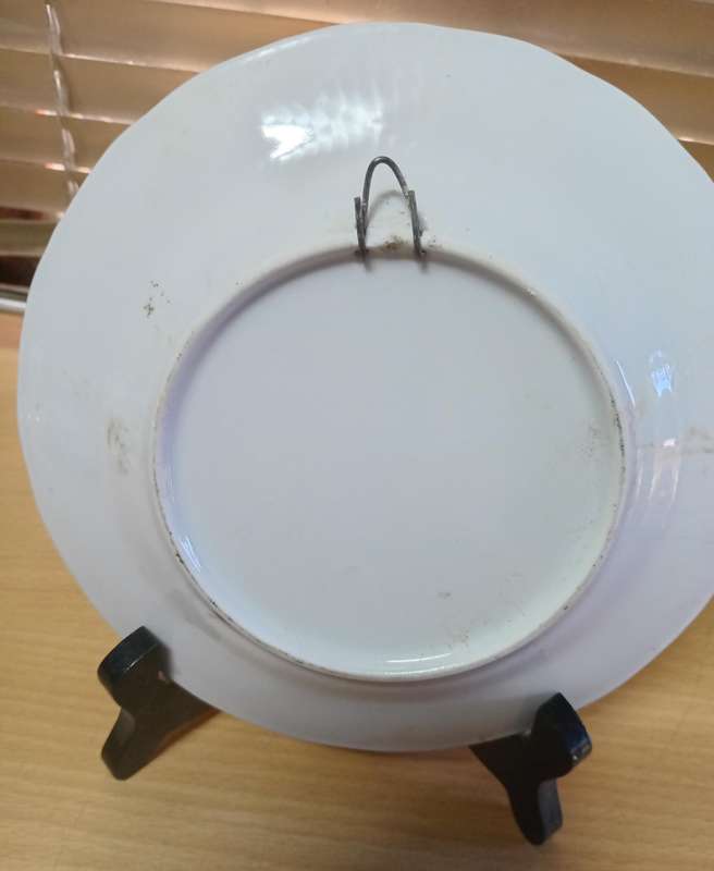 Swiss plate
