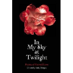 In My Sky at Twilight - Paperback