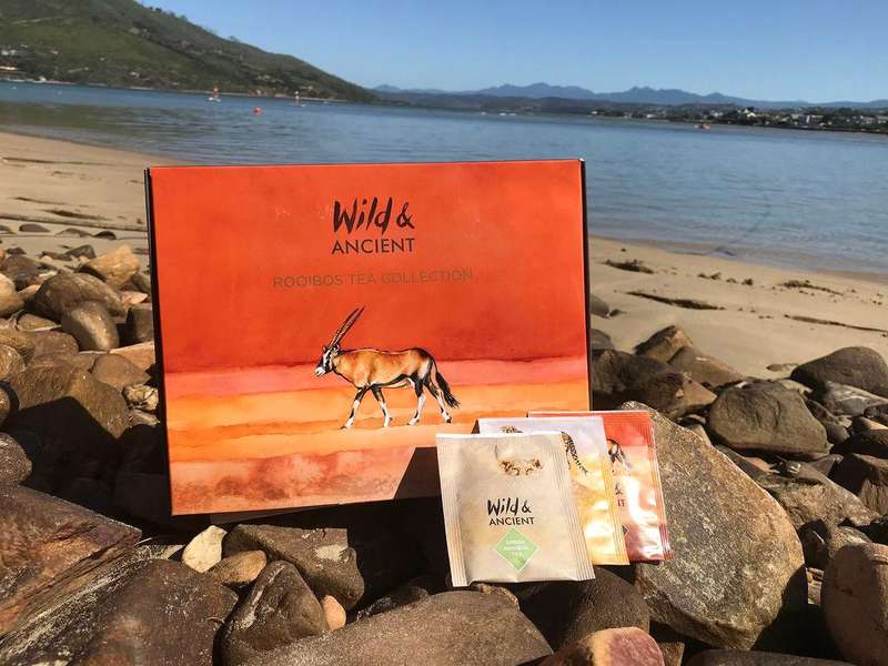 Wild and Ancient Rooibos Tea gift box