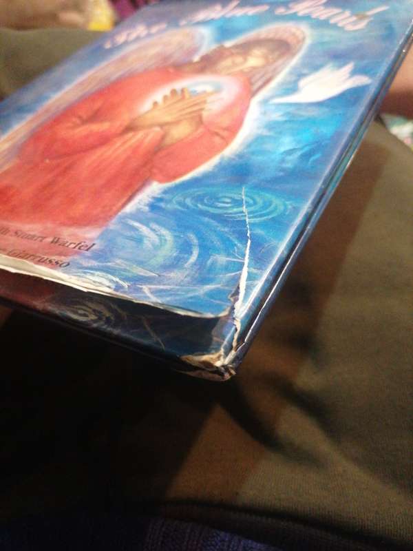 The Blue Pearls Book by Elizabeth Stuart Warfel