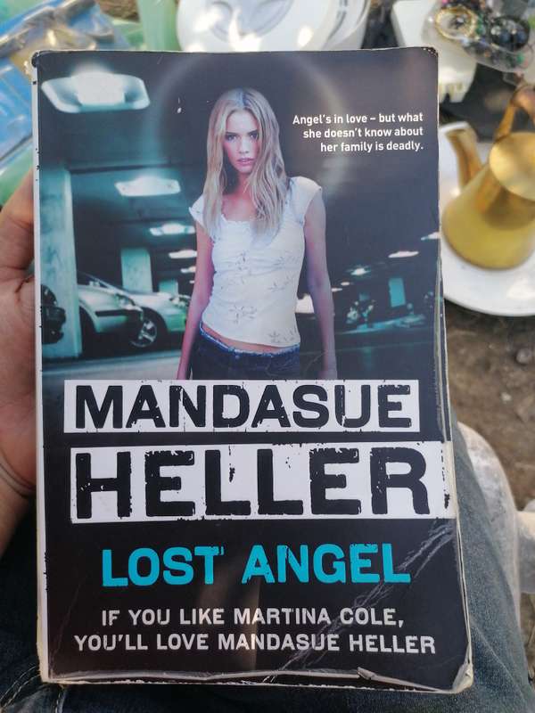 Lost Angel Book by Mandasue Heller