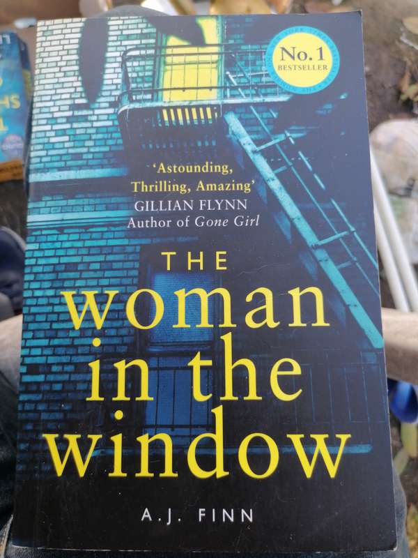 The Woman in the Window Novel by A. J. Finn