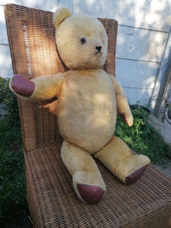 Ark Mohair SA Teddy Bear 75years. 73cm