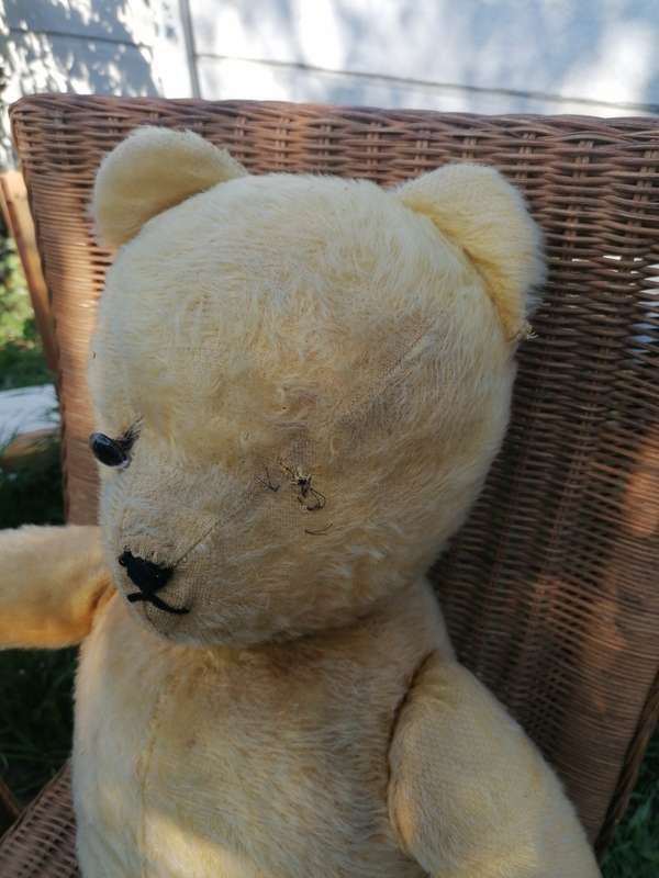 Ark Mohair SA Teddy Bear 75years. 73cm