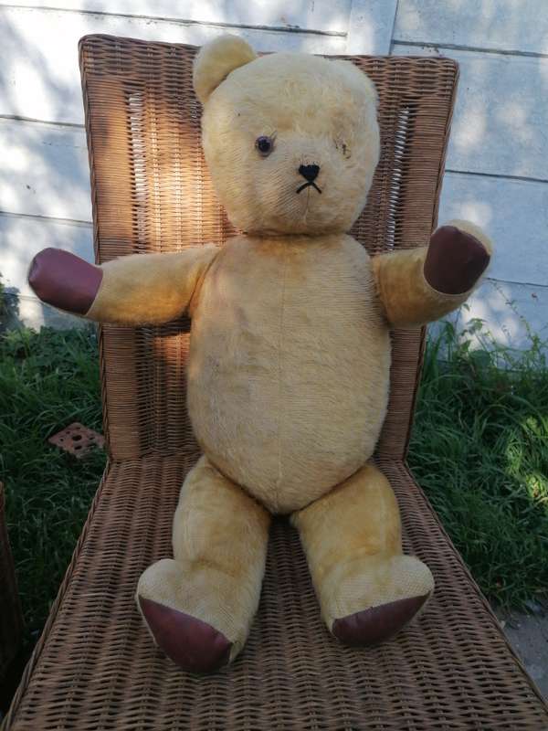 Ark Mohair SA Teddy Bear 75years. 73cm
