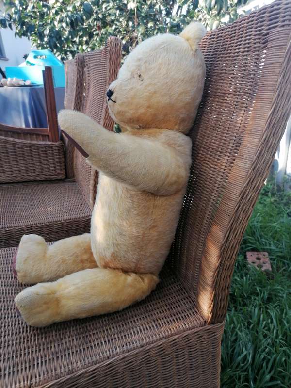 Ark Mohair SA Teddy Bear 75years. 73cm