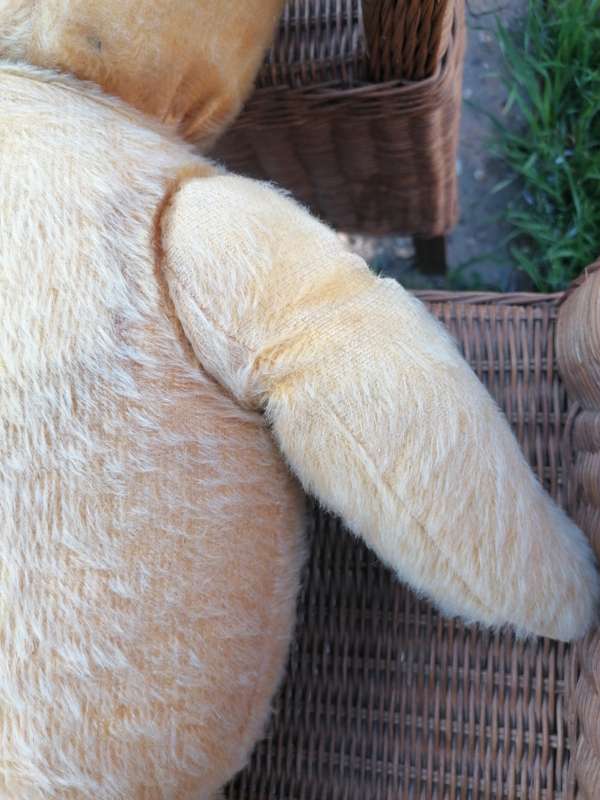Ark Mohair SA Teddy Bear 75years. 73cm