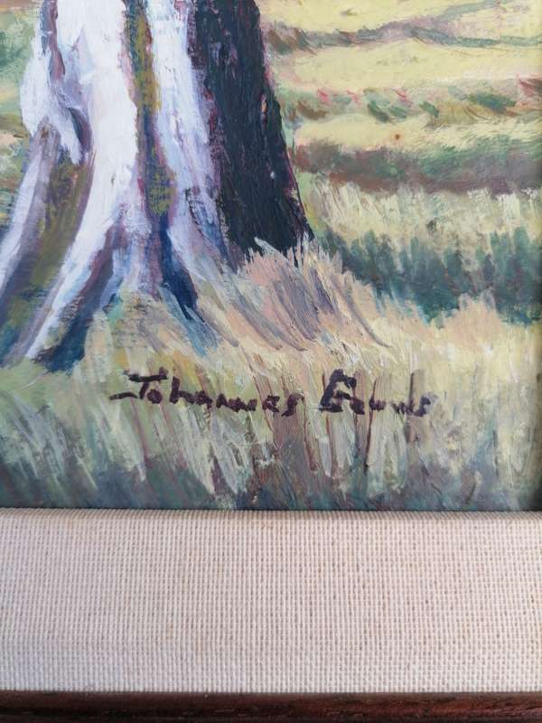 Lovely painting by Johannes Gouws