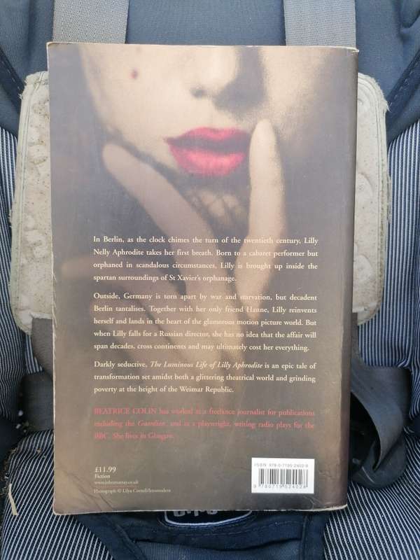 The Glimmer Palace Book by Beatrice Colin