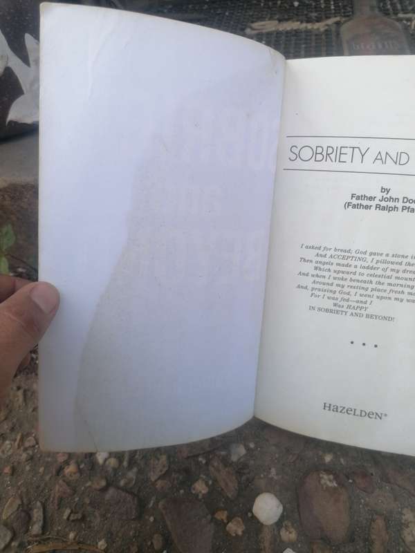 Sobriety and Beyond Book by John Father Doe