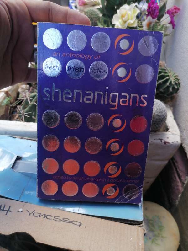 Shenanigans by Sarah champion