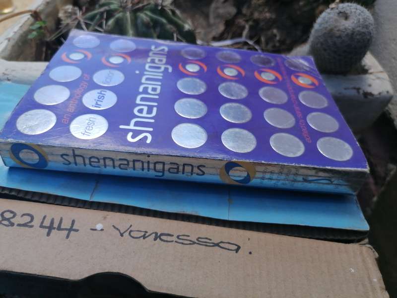 Shenanigans by Sarah champion