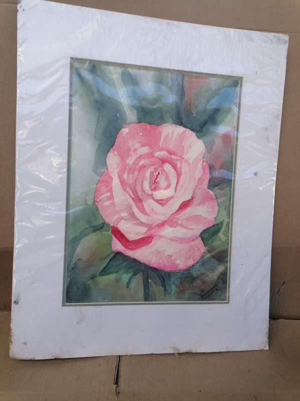 Original watercolor by Annakie Venter