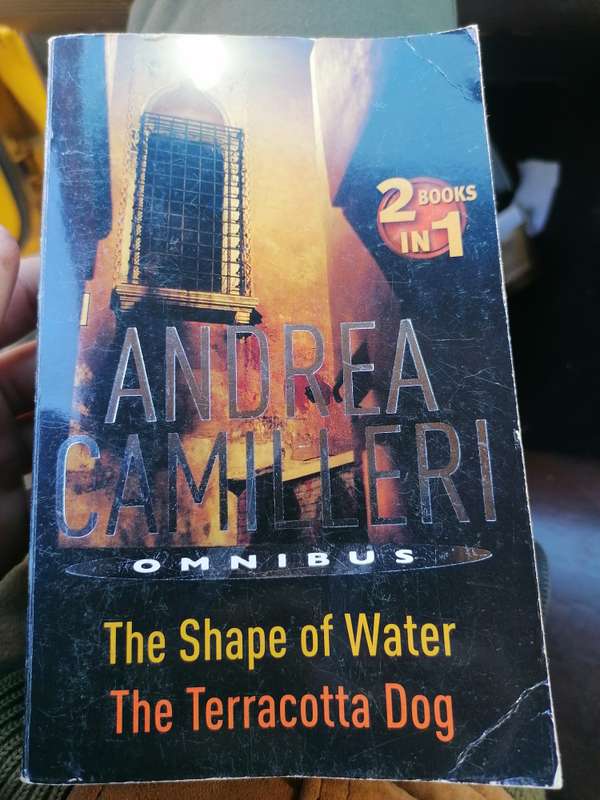 ANDREA AMERI  OMNIBU  The Shape of Water The Terracotta Dog