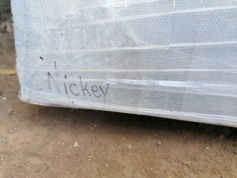 Original Nickey van der westhuizen painting