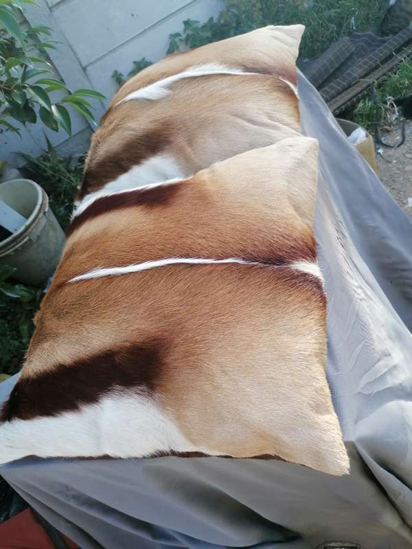 Springbok Cushion set