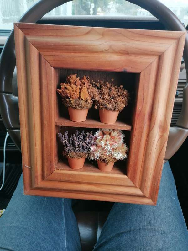 Lovely framed pots