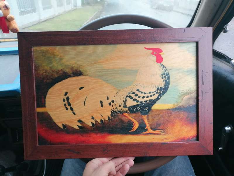 Alexandra Churchill French Roosters