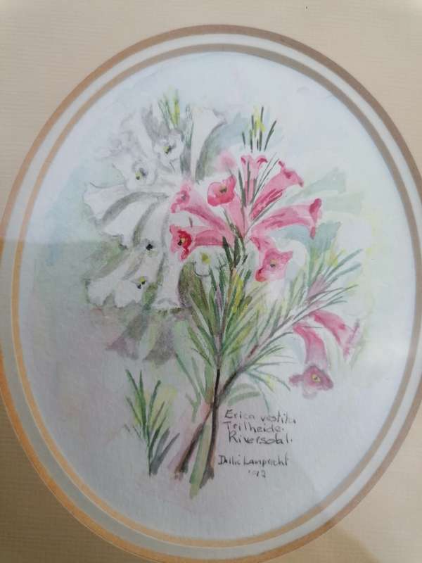 Watercolor painting