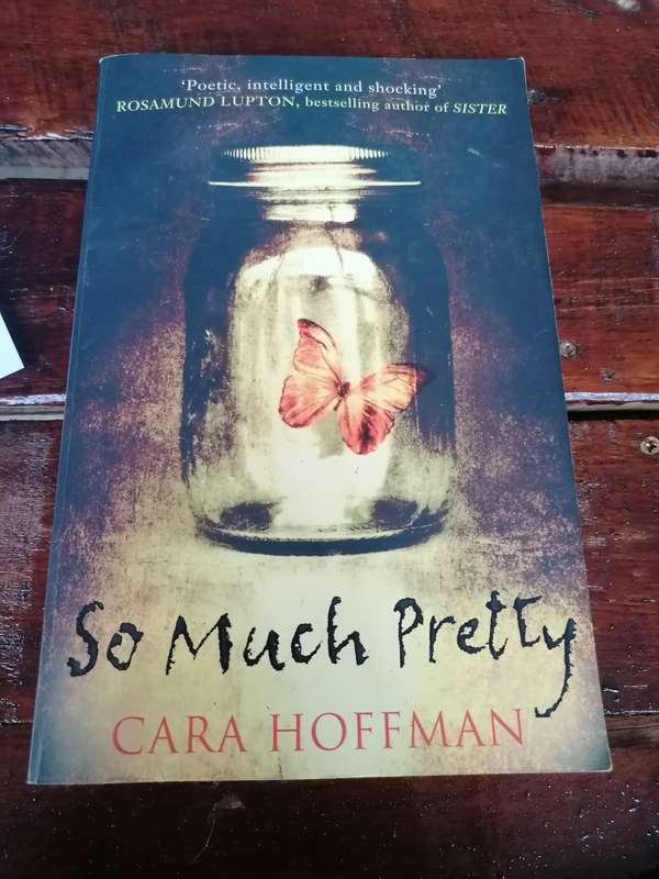 So Much Pretty Novel by Cara Hoffman