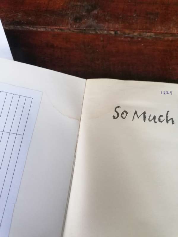 So Much Pretty Novel by Cara Hoffman