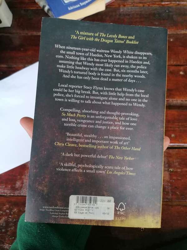 So Much Pretty Novel by Cara Hoffman