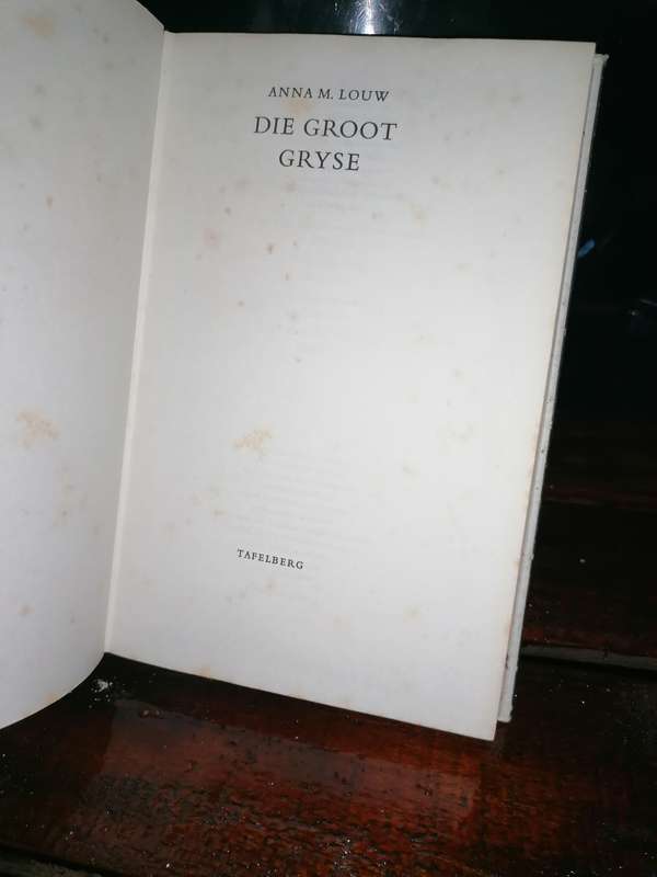 Die groot gryse deur Anna M Louw