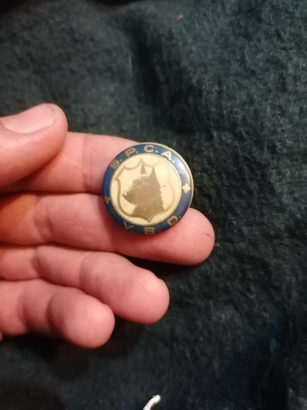 Vintage SPCA VBD badge