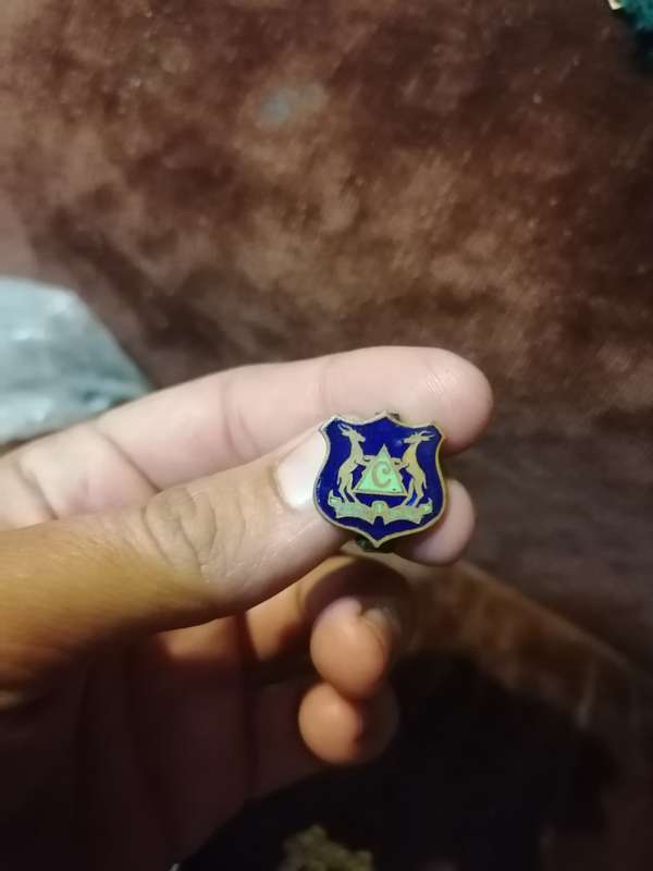 Vintage Enamel pin