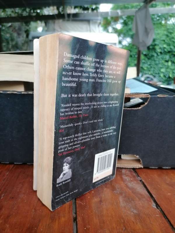 A Sight for Sore Eyes Book by Barbara Vine
