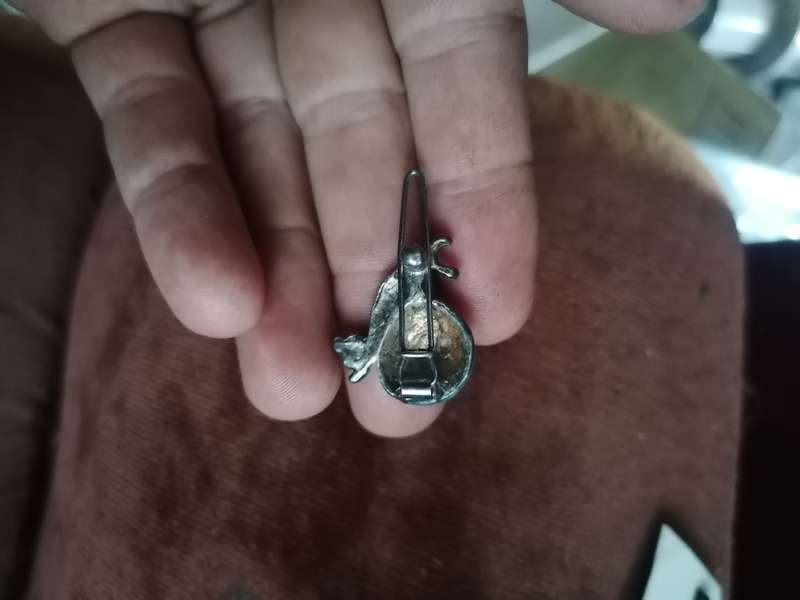 Cute pair of Enamel snail earrings