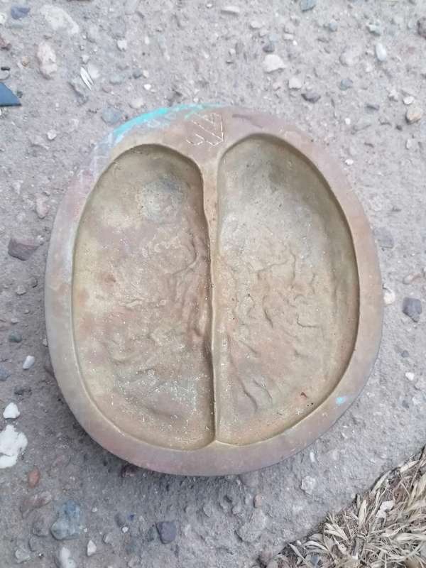 Solid Brass animal spoor