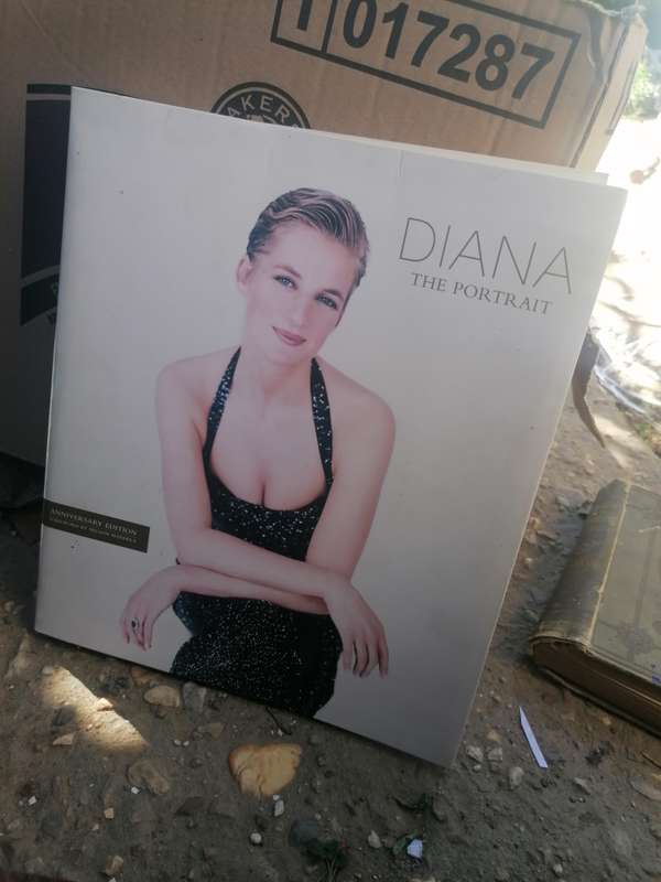 Diana: The Portrait: Anniversary Edition Book by Ros Coward