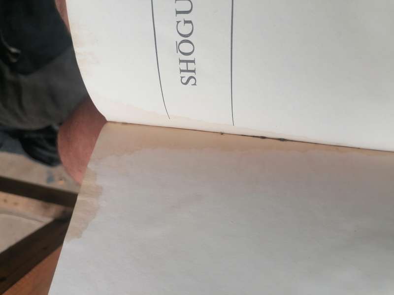Shōgun Novel by James Clavell volume 2