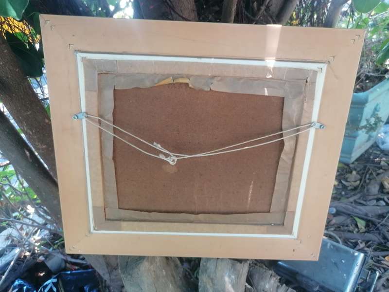Ann van niekerk painting